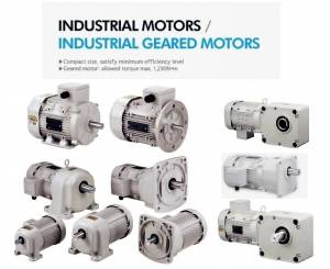 Industrial Geared Motors